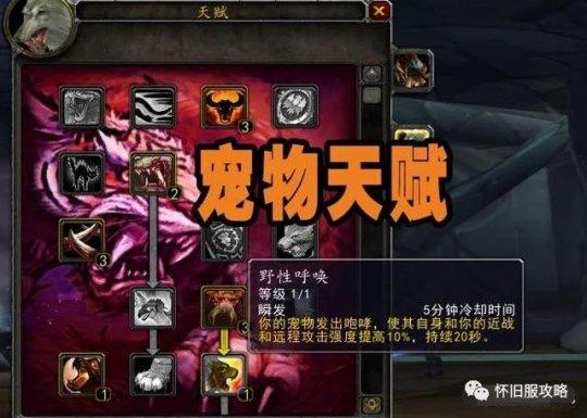 魔狩世界里的宠物培养全攻略